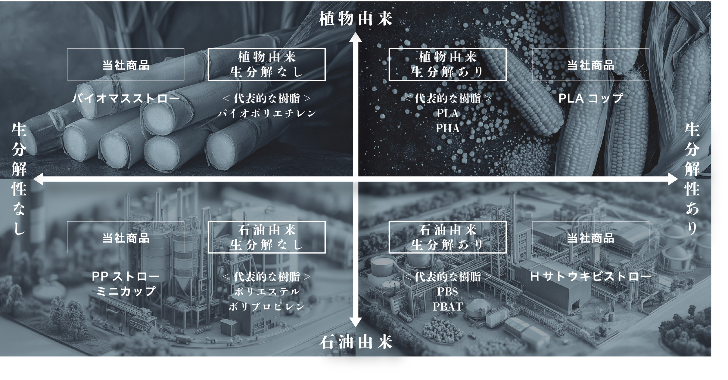 バイオプラチャート