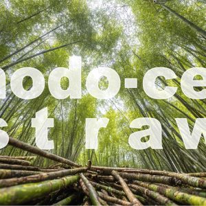 modo-cellストロー